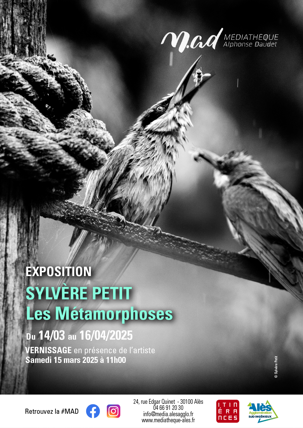 Affiche_expo_metamorphoses_VF