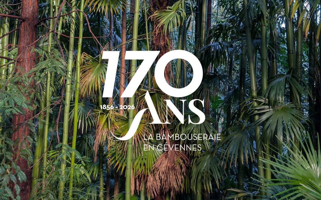 170 ans de la Bambouseraie